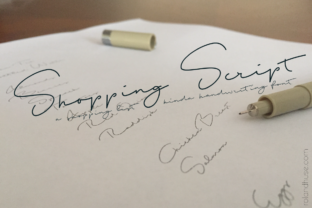 The Casual Charm of Shopping Script